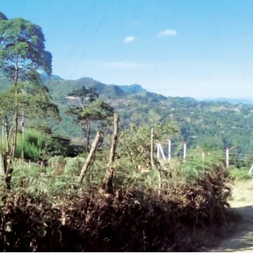 Desde el Sur también marcamos el camino